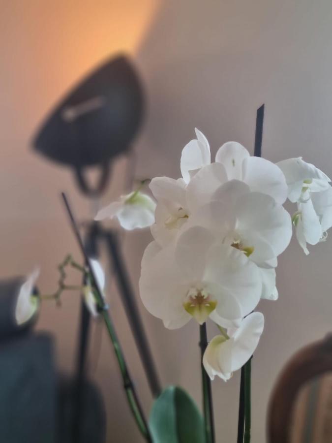 Wellness Ferienhaus Mechernich Eksteriør bilde